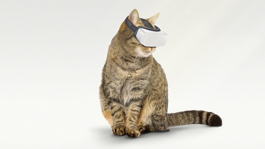 Isobar’s Cat VR powers game changing content for Australian Zoos