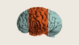 The science of emotion to generate actionable insights